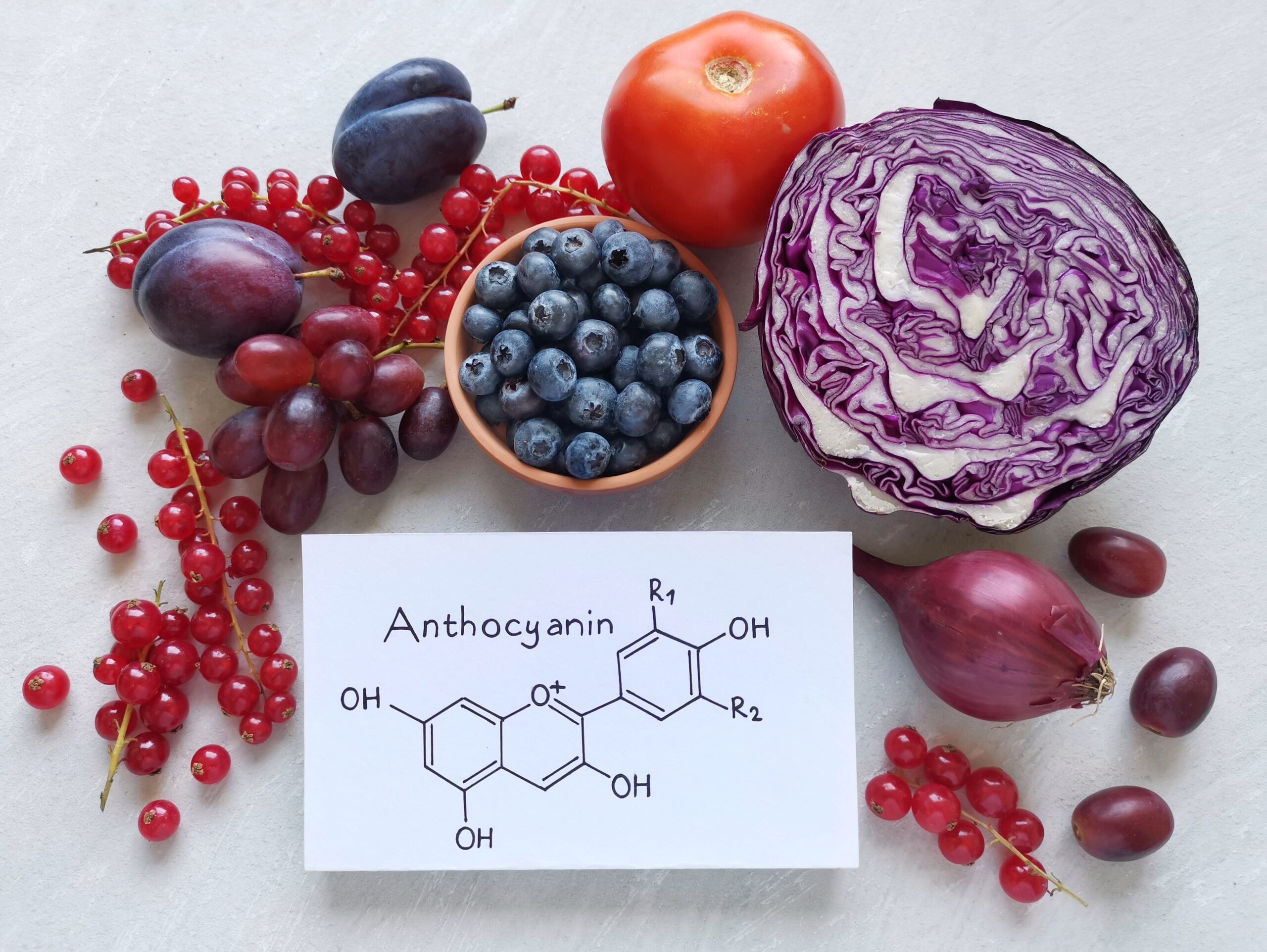 The Importance of Anthocyanins in the Management of Neuropathic Pain